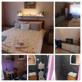 An-Du resort Stara Moravica 2